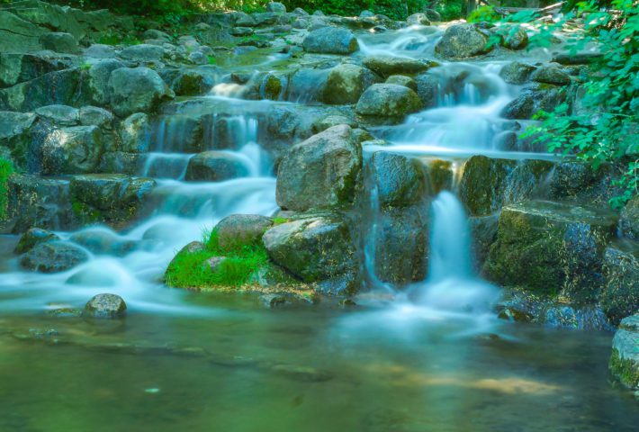 Tages-Fotosafari-Workshop: Entdecke die Welt der Fotografie und verdiene mit Deinen Bildern Geld!