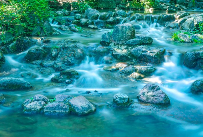 Tages-Fotosafari-Workshop: Entdecke die Welt der Fotografie und verdiene mit Deinen Bildern Geld!