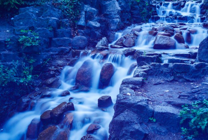 Tages-Fotosafari-Workshop: Entdecke die Welt der Fotografie und verdiene mit Deinen Bildern Geld!