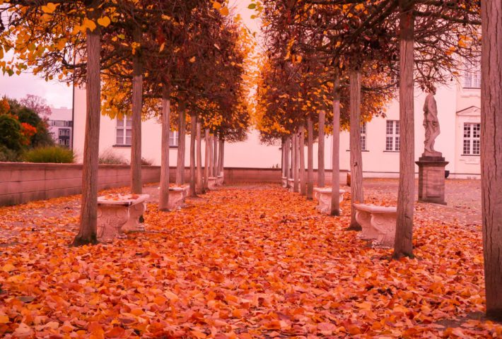 Urban Kiez Tour | Köpenick-Abenteuer: Auf den Spuren von Wilhelm Voigt!